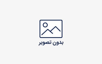 فرماندار دشتستان از مناطق سیل زده وحدتیه بازدید کرد