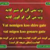 آفتاب بامدادان برازجان