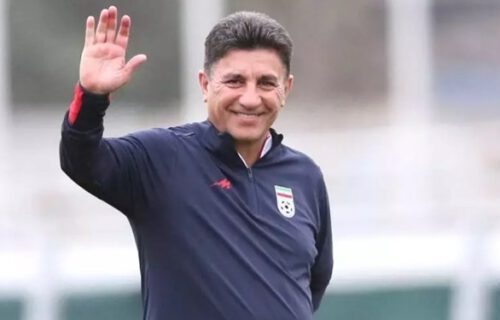 امیر قلعه نویی