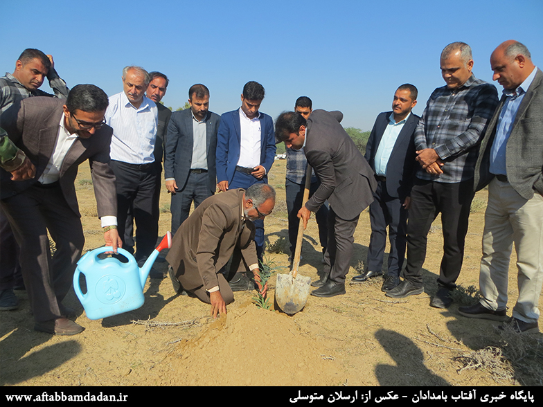 هادی عدالت بخشدار مرکزی دشتستان،