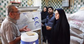 صدیقه سعادتمند بخشدار مرکزی دشتستان