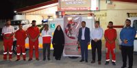 صدیقه سعادتمند - بخشدار مرکزی دشتستان