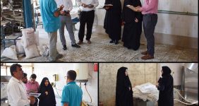 صدیقه سعادتمند - بخشدار مرکزی دشتستان