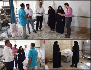صدیقه سعادتمند - بخشدار مرکزی دشتستان