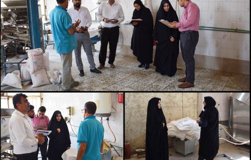 صدیقه سعادتمند - بخشدار مرکزی دشتستان