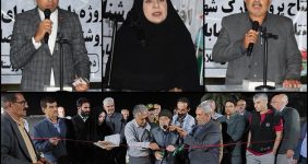 صدیقه سعادتمند - بخشدار مرکزی دشتستان
