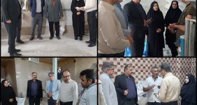 بازدید از نانوا - صدیقه سعادتمند - بخشدار مرکزی دشتستان