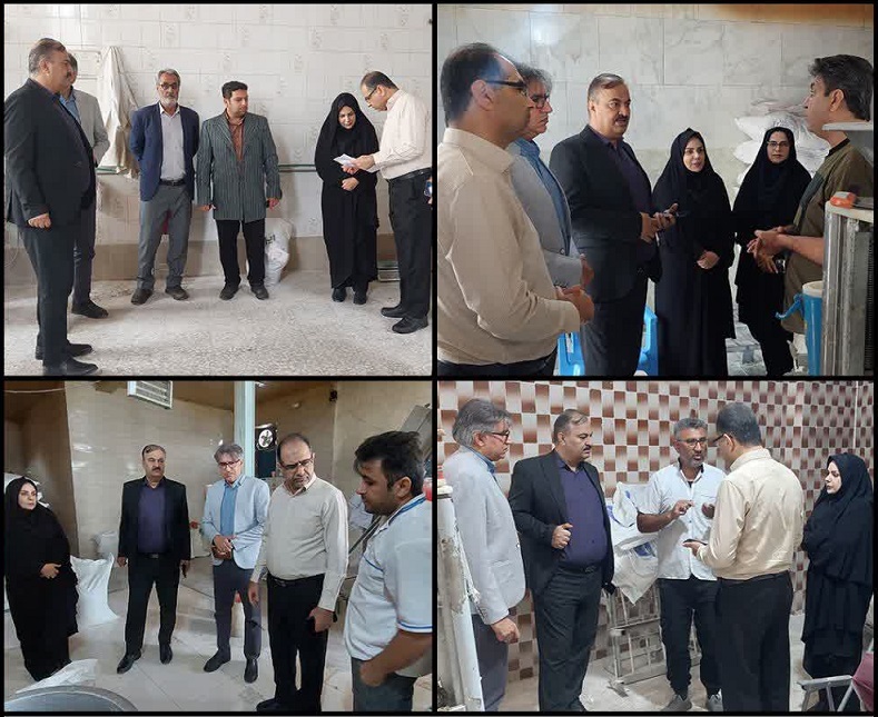 بازدید از نانوا - صدیقه سعادتمند - بخشدار مرکزی دشتستان