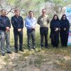 پویش سراسری درختکاری "سرو ایران" در بخش مرکزی دشتستان
