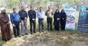 پویش سراسری درختکاری "سرو ایران" در بخش مرکزی دشتستان