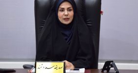 صدیقه سعادتمند بخشدار مرکزی دشتستان - جلسه