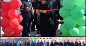 صدیقه سعادتمند بخشدار مرکزی دشتستان - دهقاید